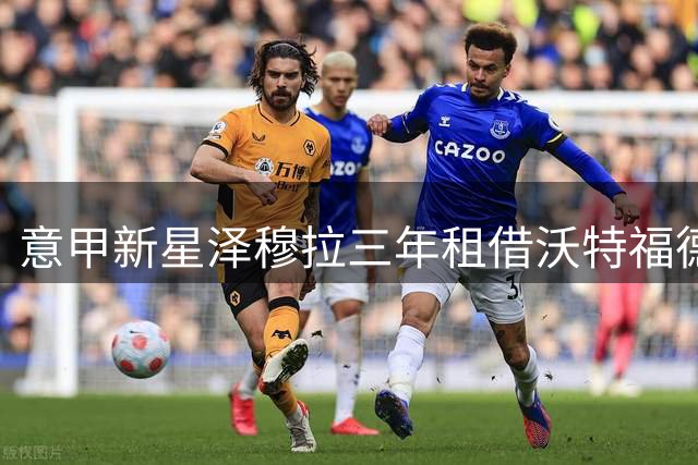 意甲新星泽穆拉三年租借沃特福德 乌迪内斯期待其英伦蜕变